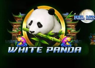 Full Moon White Panda Slot Review