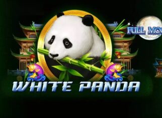 Full Moon White Panda Slot Review