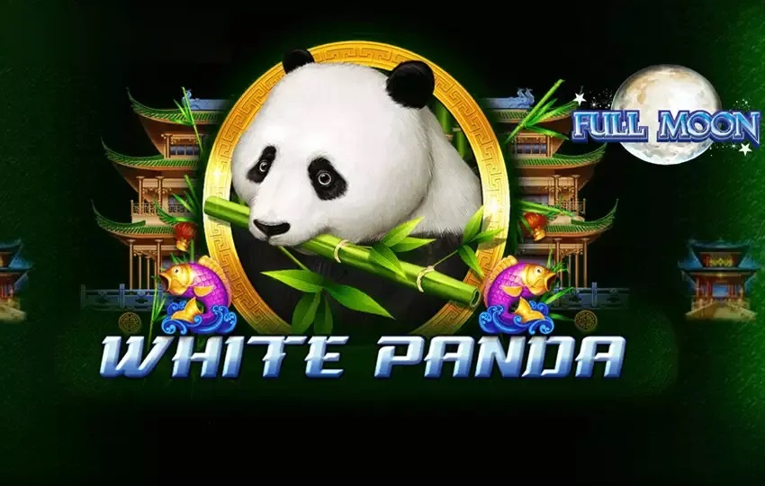 Full Moon White Panda Slot Review